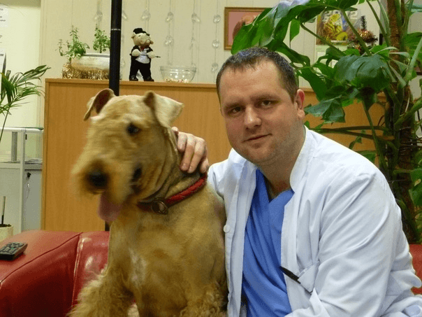 Ветеринарный врач - дерматолог в Долгопрудном - Юрасов Александр Валерьевич
